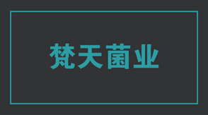 食品行业石家庄冲锋衣设计款式